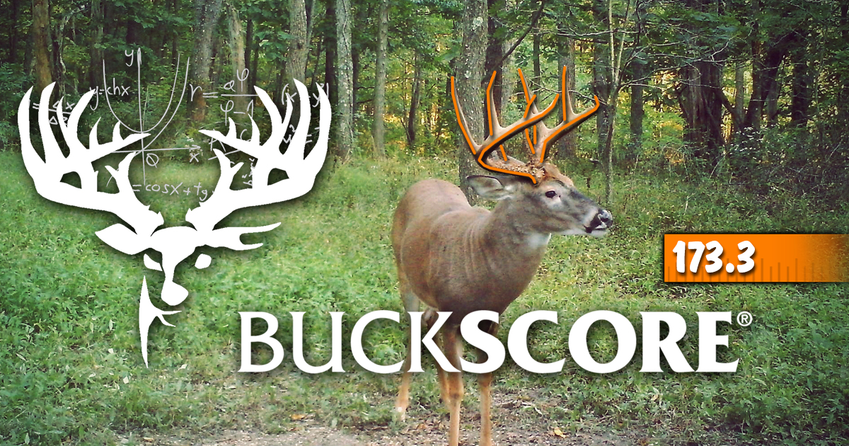 How to Score Deer Using the BuckScore® App | BuckScore