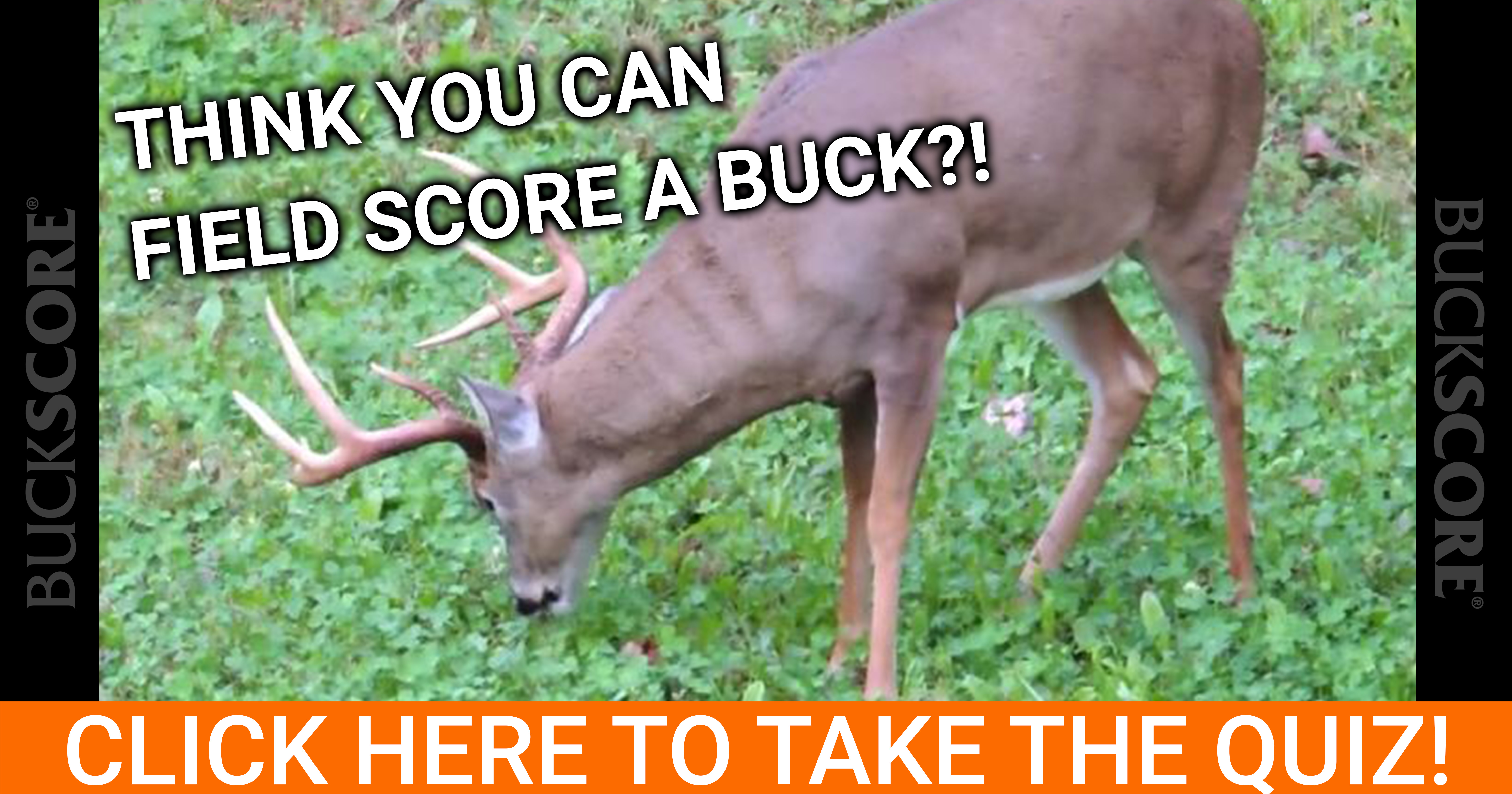bucks score bucks score