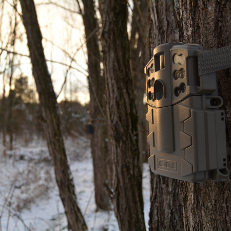 Field Scoring a Deer 101 BuckScore