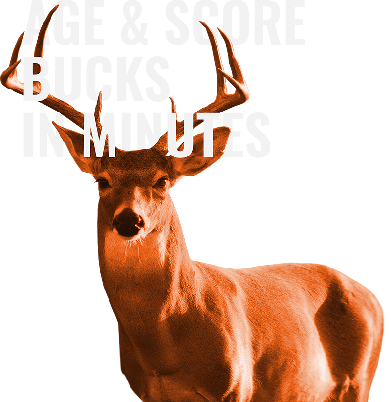Age and Score your buck