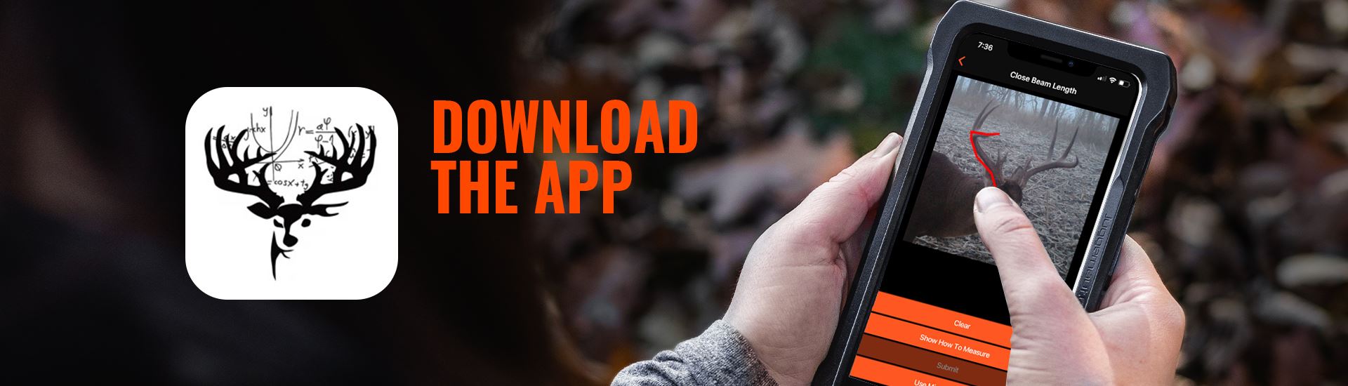 Download the Buckscore App